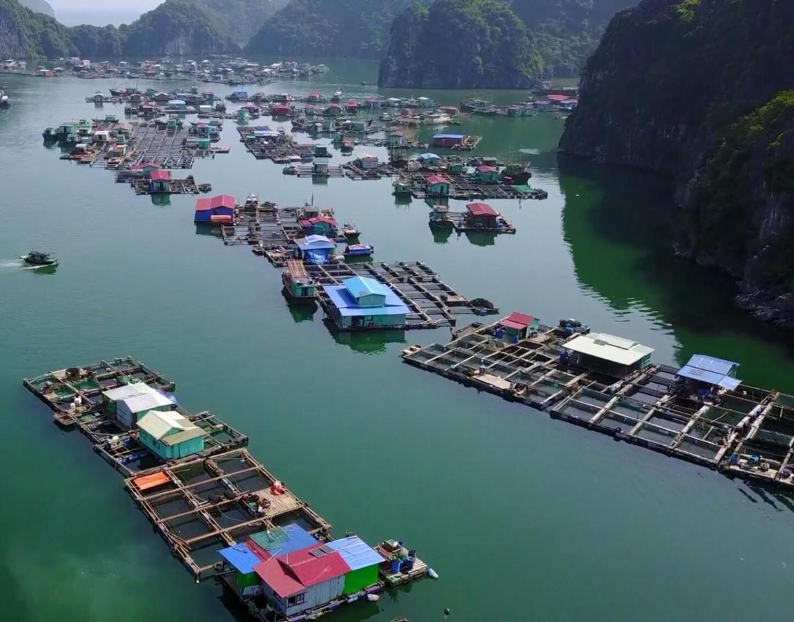Cat Ba Thailand Hotel Dong Khe Sau ภายนอก รูปภาพ